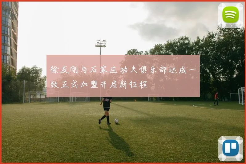 徐友刚与石家庄功夫俱乐部达成一致正式加盟开启新征程