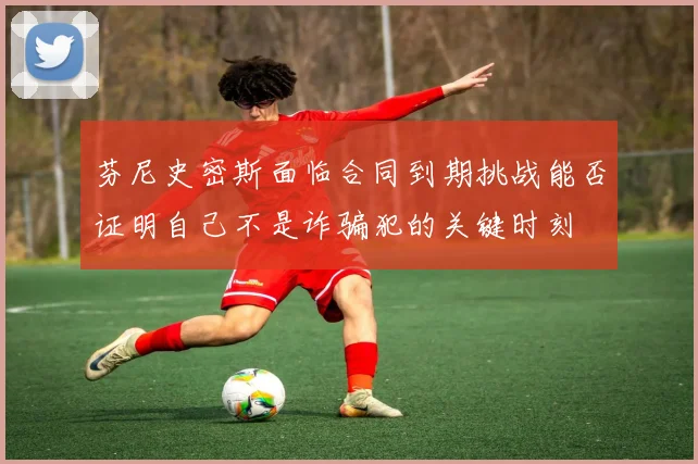 芬尼史密斯面临合同到期挑战能否证明自己不是诈骗犯的关键时刻