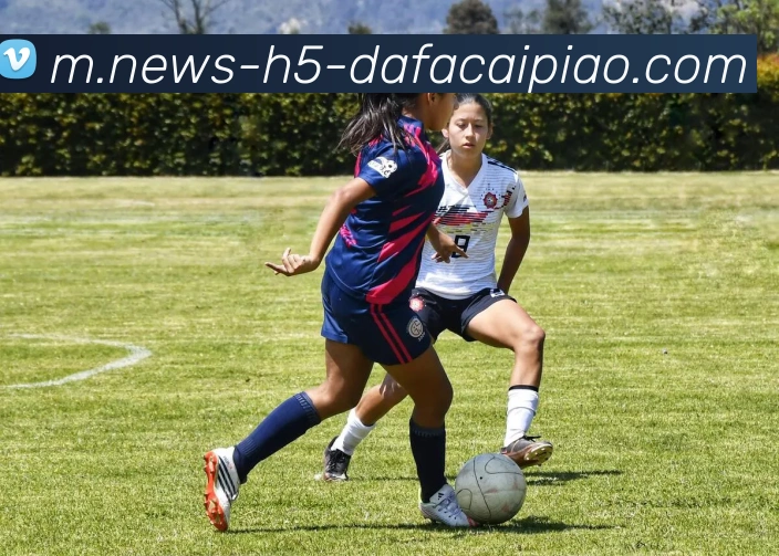 大发彩票平台生态图