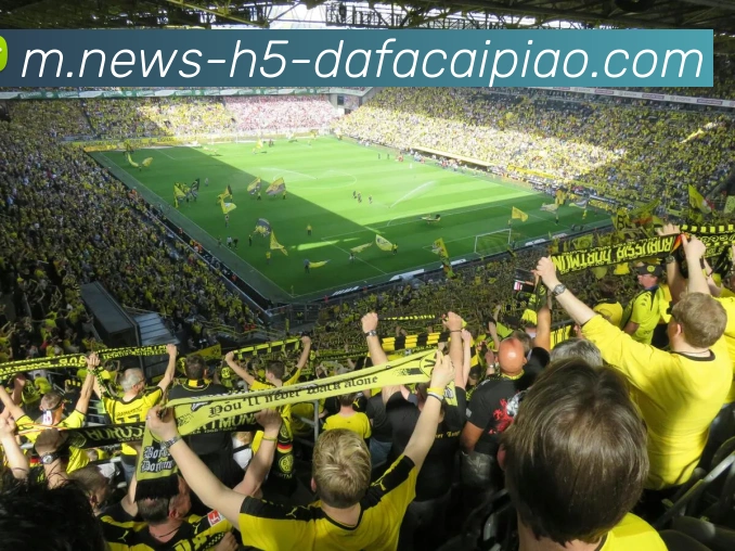 大发彩票APP 封面图